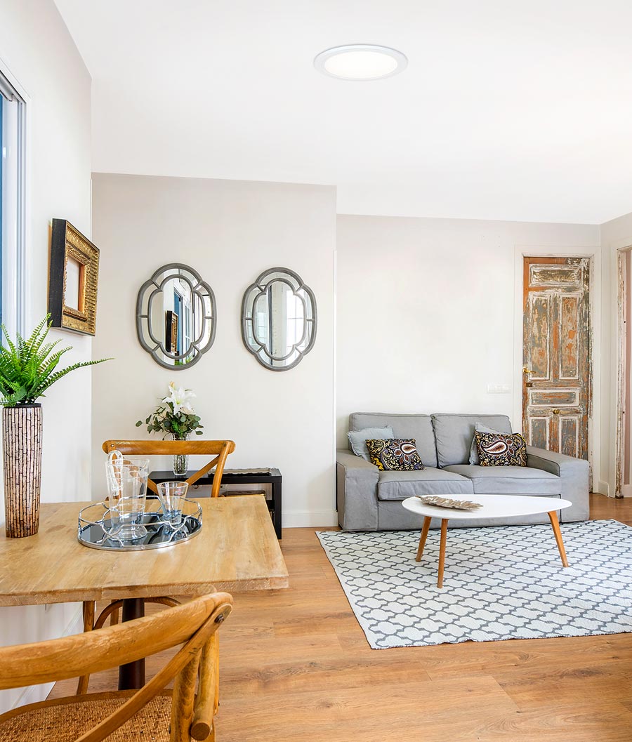 Natural Light tubular skylight installed in living room